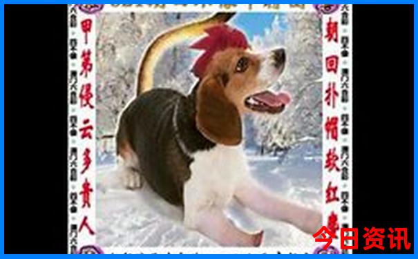 六盘水景点排名前十名