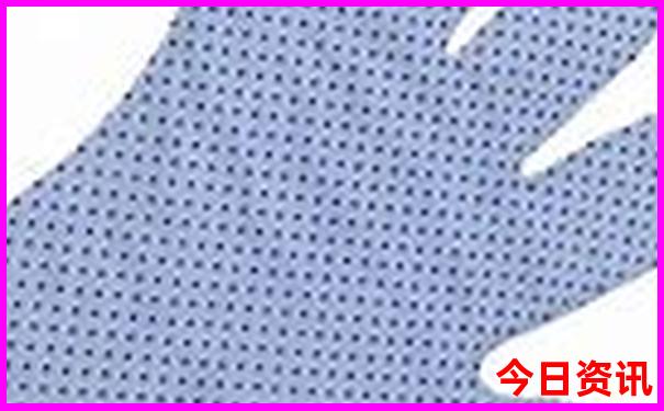 2025生肖是什么
